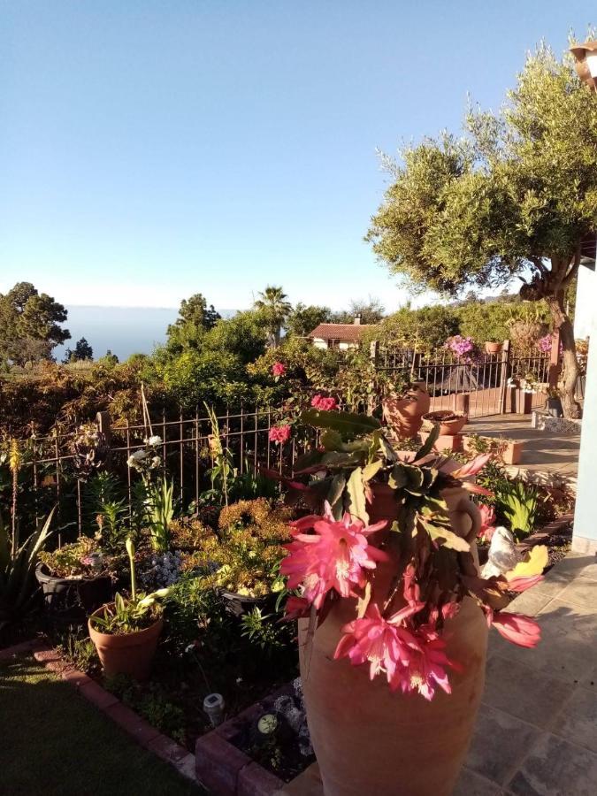 Casa Rosales With Pool & Wifi Villa Puntagorda Eksteriør bilde