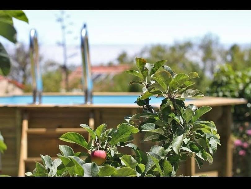 Casa Rosales With Pool & Wifi Villa Puntagorda Eksteriør bilde